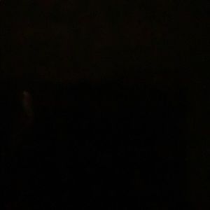 Meet your Posher, Shante